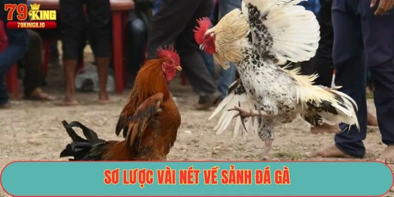 Sơ lược vài nét về sảnh đá gà